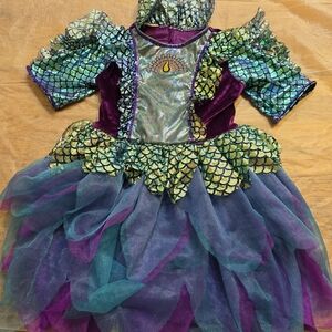 Peacock Playful Costume Dress - Green and Purple